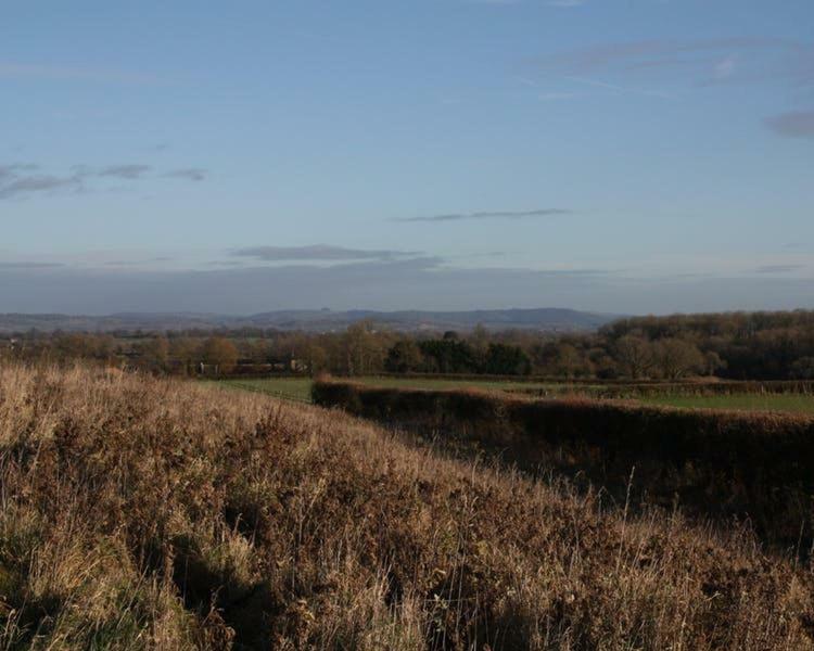 Cherry Orchard Farm South Wraxall Екстериор снимка