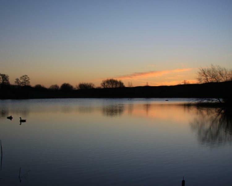 Cherry Orchard Farm South Wraxall Екстериор снимка